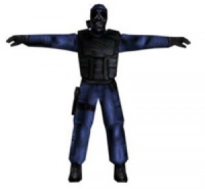 c model-sas.jpg
